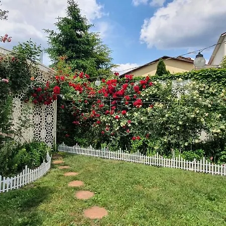 Near Sea Nyaraló Odessza